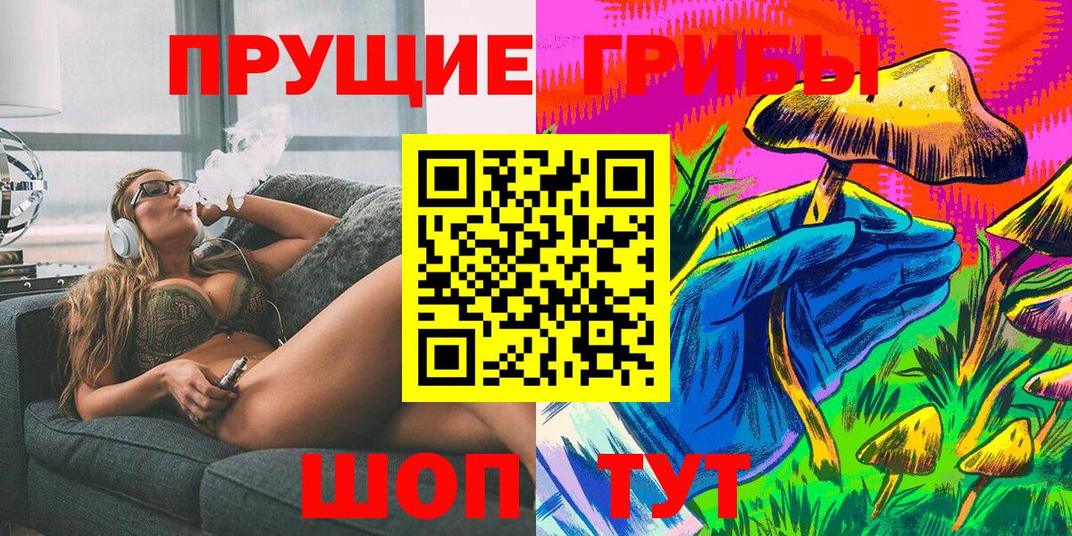 МЕФ Тверь