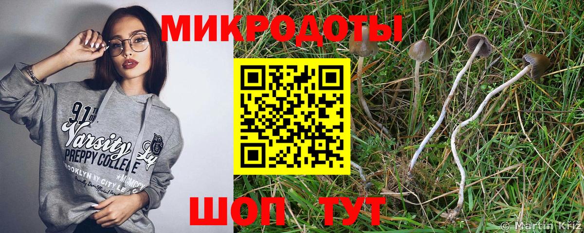 Галлюциногенные грибы мухоморы Тверь