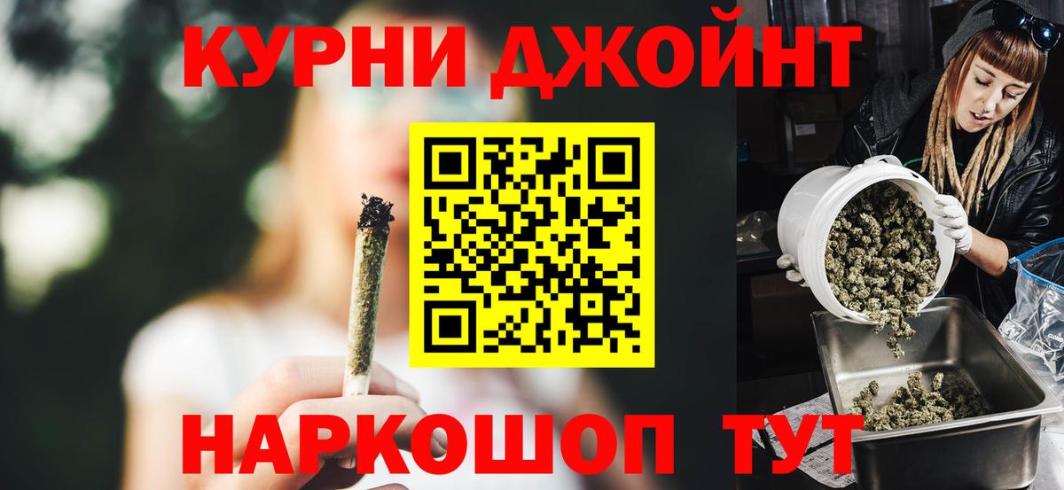 Каннабис сатива Тверь